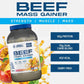 Beef Mass Gainer 3.13Kg (25 Servings)